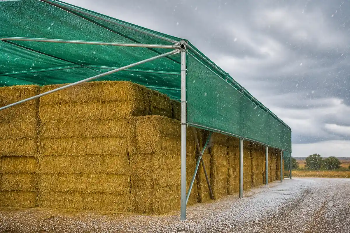 Protective netting shielding stored forage from wind and hail