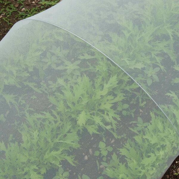 Insect Netting