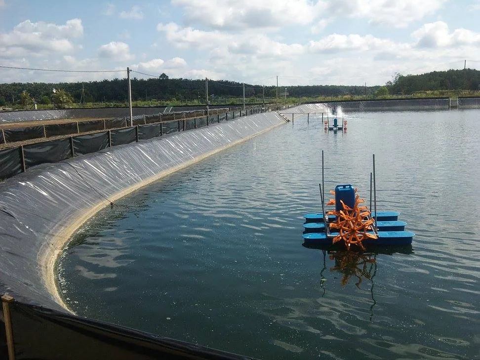 HDPE geomembrane liner for aquaculture pond 1