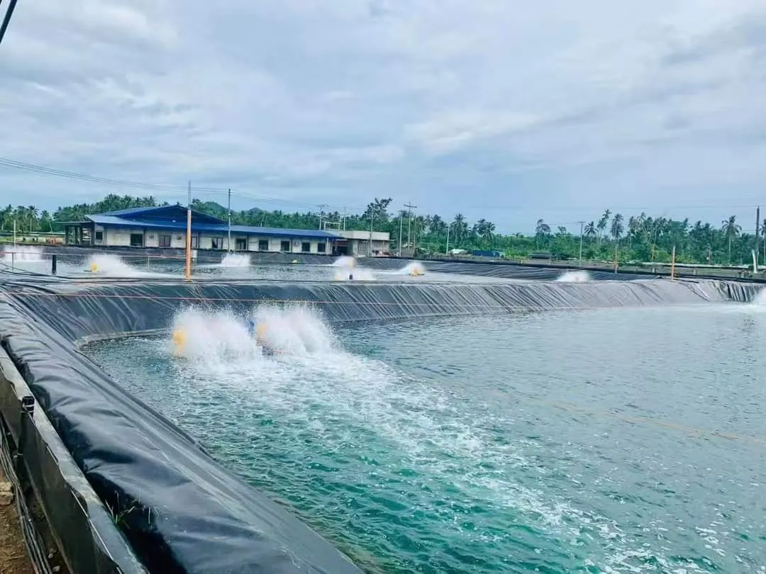 HDPE geomembrane liner for aquaculture pond 2