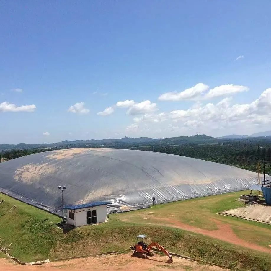HDPE geomembrane system for biogas digester 2