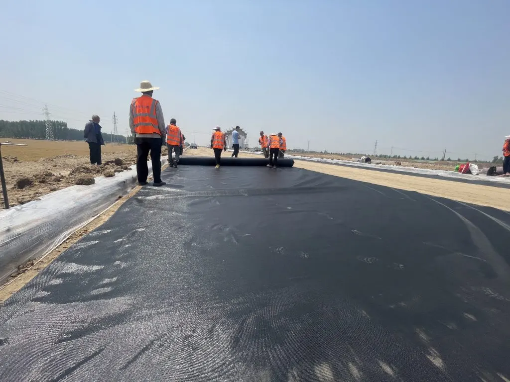subgrade reinforcement project image 1