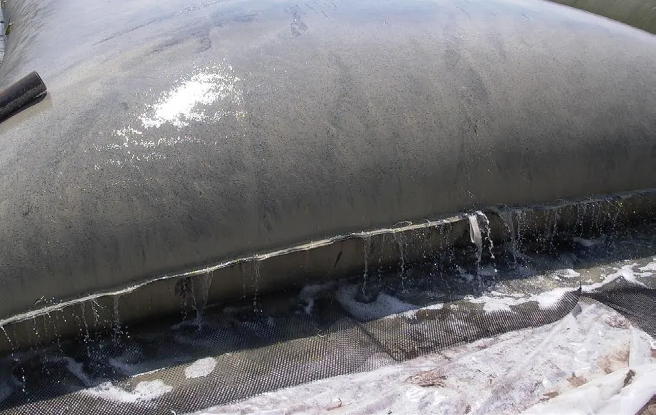 geotube livestock manure slurry dewatering farm image 3