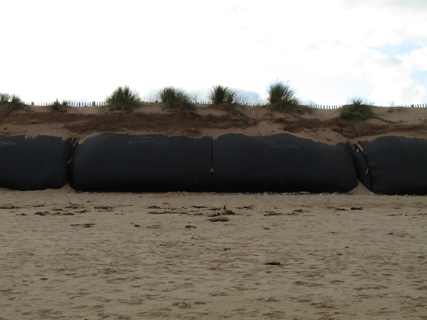geotube wetland restoration tidal coastal habitat rebuild image 5