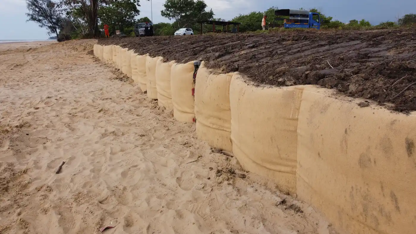 buried geotube coastal dune ecosystem restoration image 4