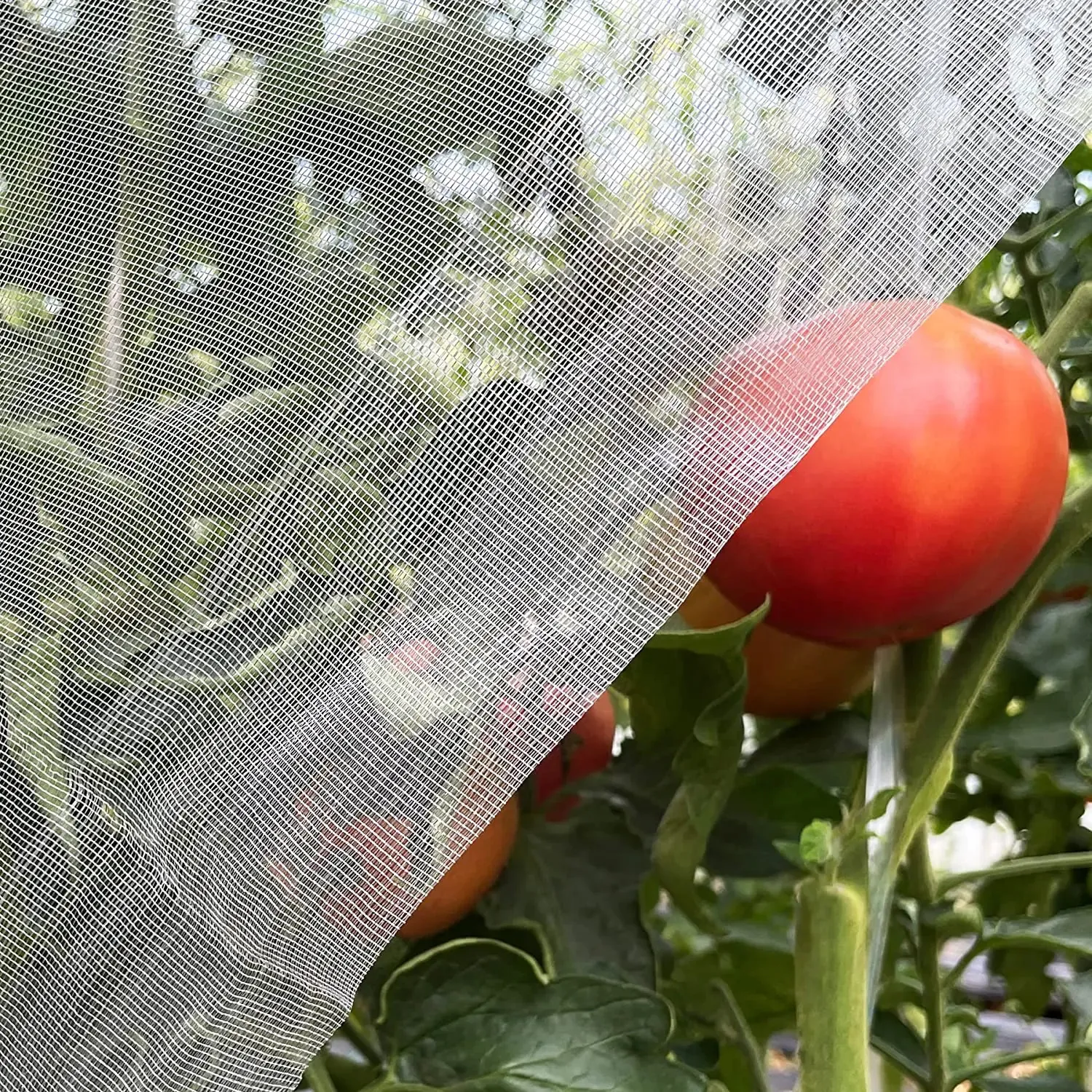 Insect netting installed for orchard and farm protection 1